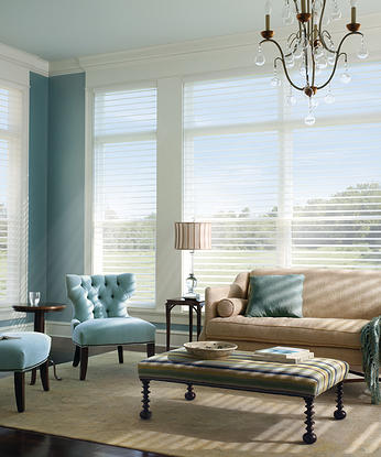 blinds shades shutters Springfield PA